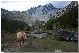 La piana della Val Torreggio ed i Corni Bruciati (foto M.Dei Cas)