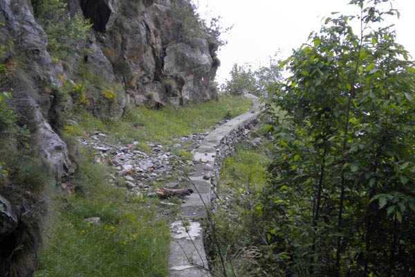 Il sentiero che porta al Capanno della Foppa (foto C. De Bernardi)