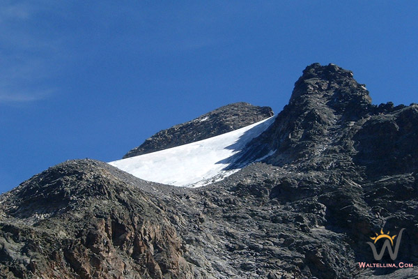 La cima Viola e il suo ghiacciaio (foto R. Moiola)