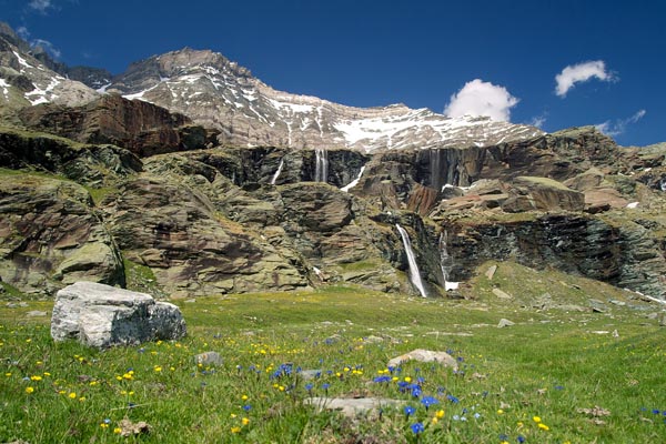 Cascatelle e fioriture all'alpe Fora (foto R.Moiola)