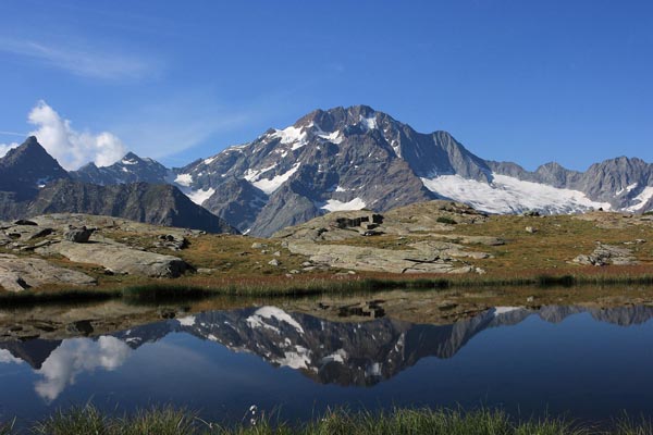 Il Monte Disgrazia si specchia all'alpe Fora (foto L.Bruseghini)