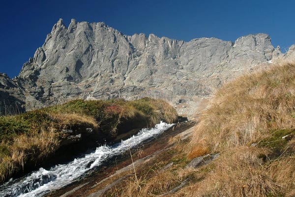 Il torrente che scende dalla valle del Ferro (foto R. Moiola)