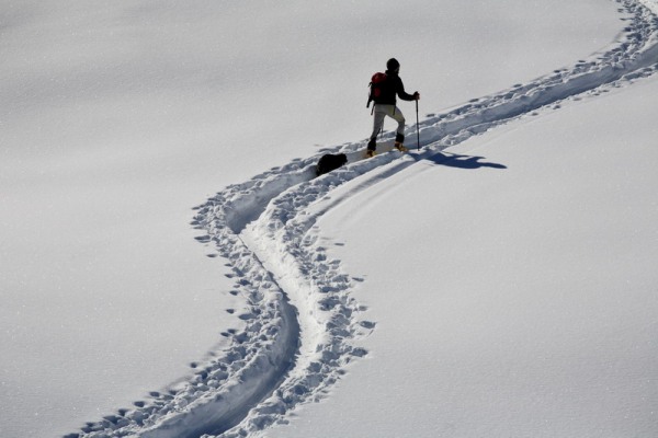Scialpinista sulla traccia (Foto R. Ganassa)