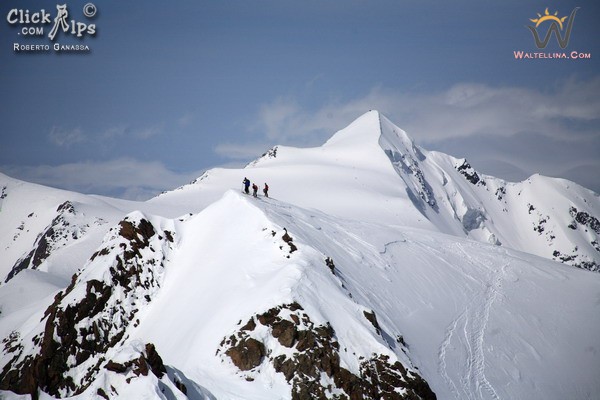 La punta San Matteo vista dalla cima di Pejo (foto R. Ganassa)