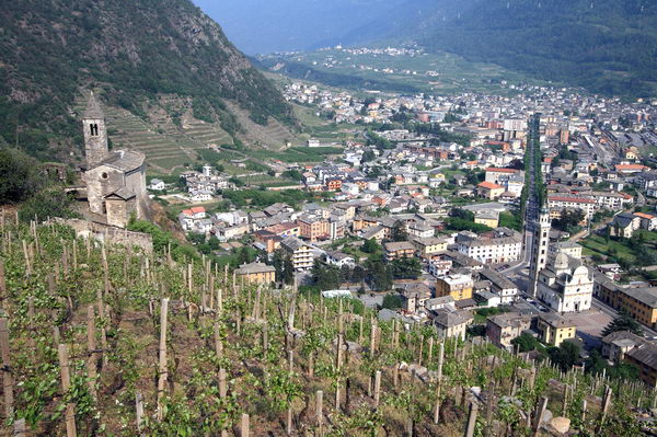 Veduta panoramica sull'abitato di Tirano (foto R. Moiola)